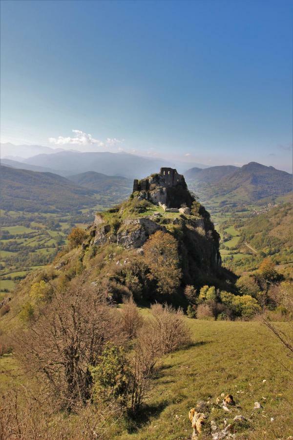 Toupinat * Montferrier