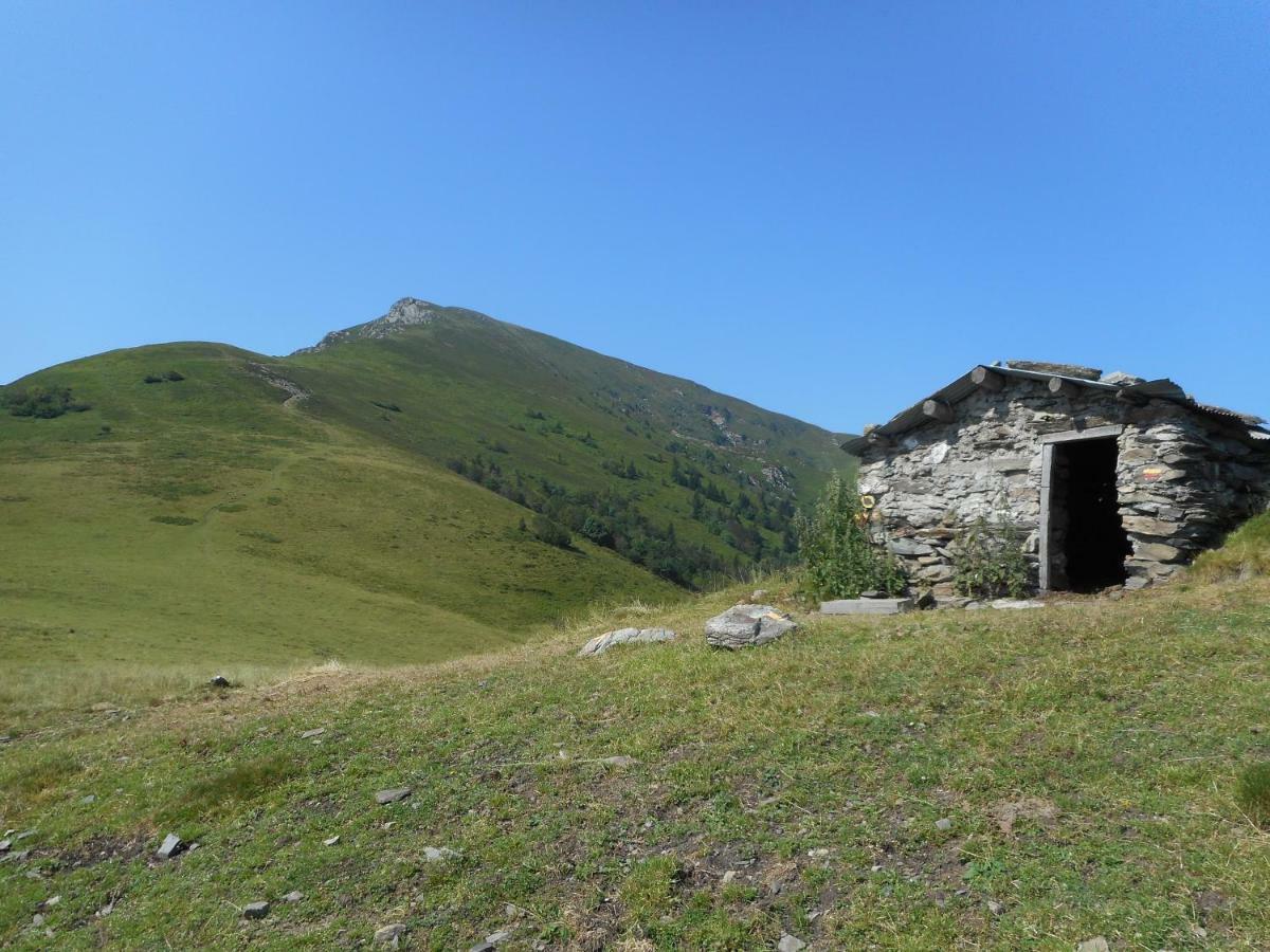 Hébergement de vacances Toupinat Montferrier